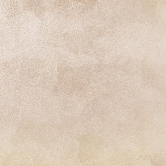 Modern Minimalist Beige Wall mural