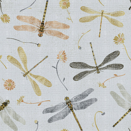 Dragonfly Damselfly Golden Gray Wallpaper