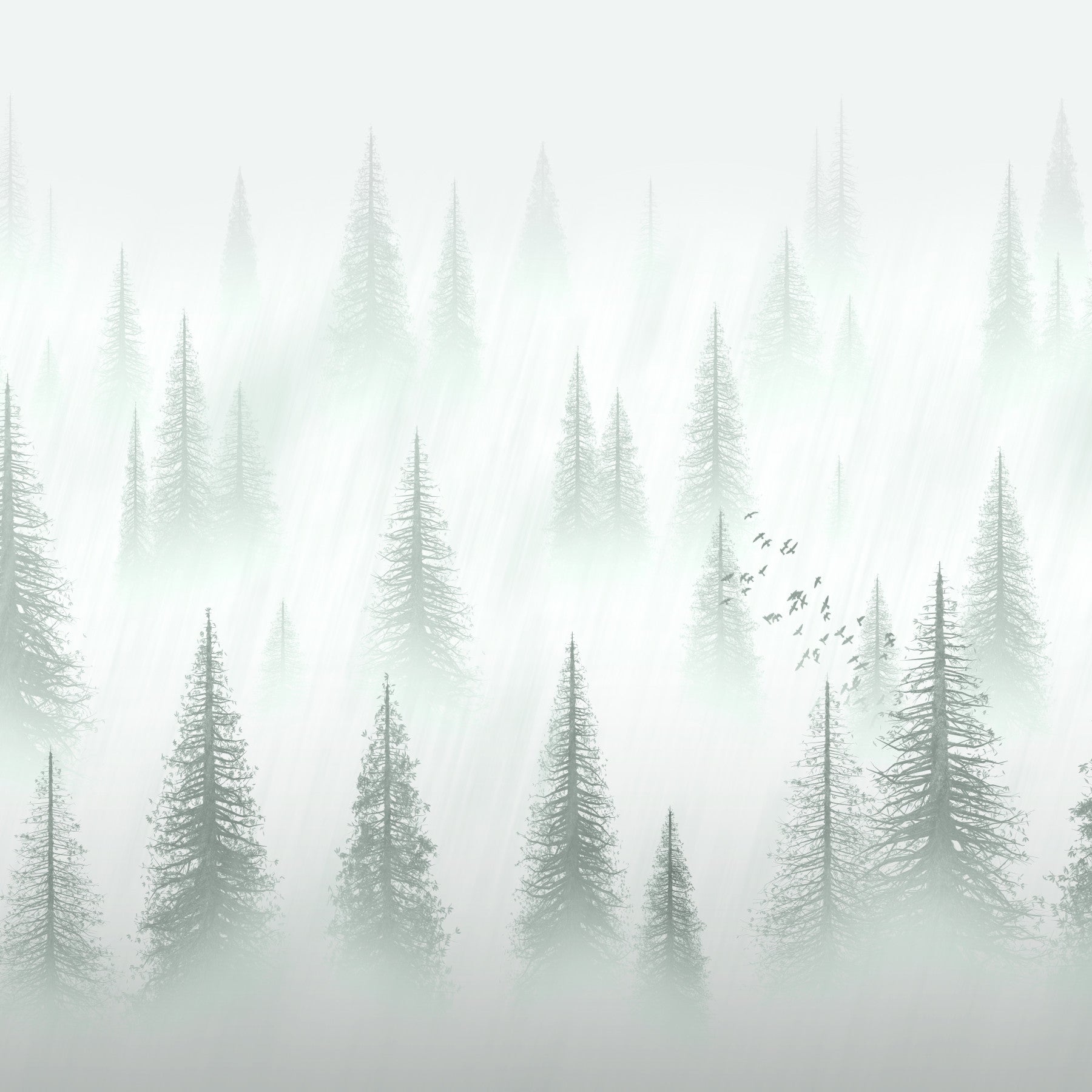Forest serenity Wallpaper
