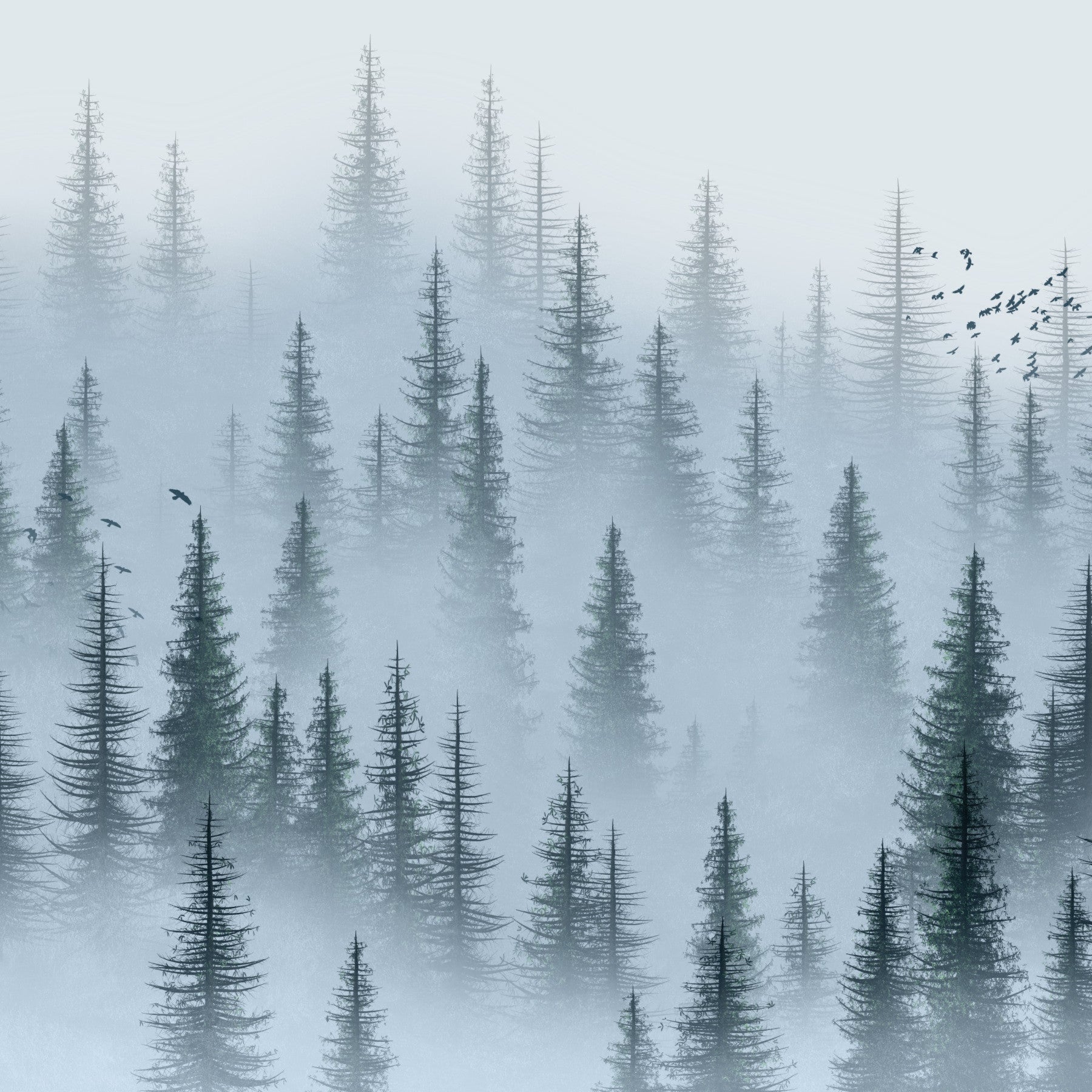 Misty Woods Wallpaper