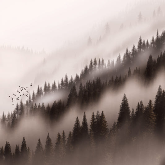 The Enchanted Valley Sepia Wallpaper