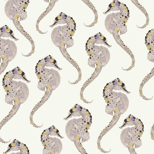 Hippocampus Wallpaper