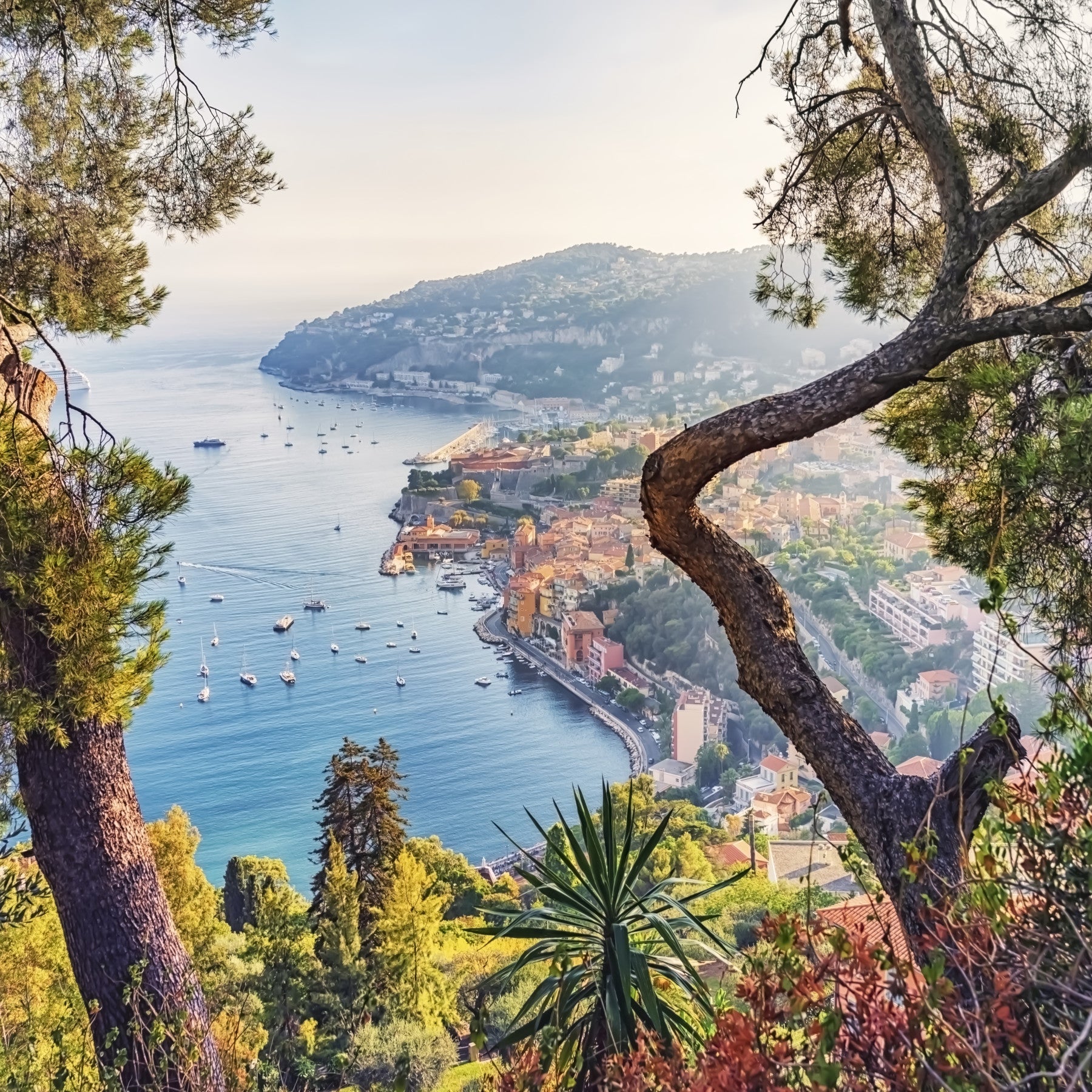 French Riviera Vista Wall Mural in your room — zoomed
