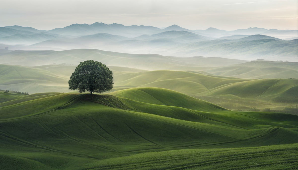 Serene Hills Wall Mural in your room — zoomed