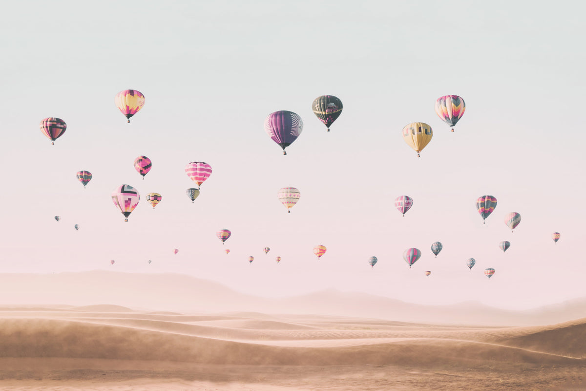 Air Balloons Wall Mural in your room