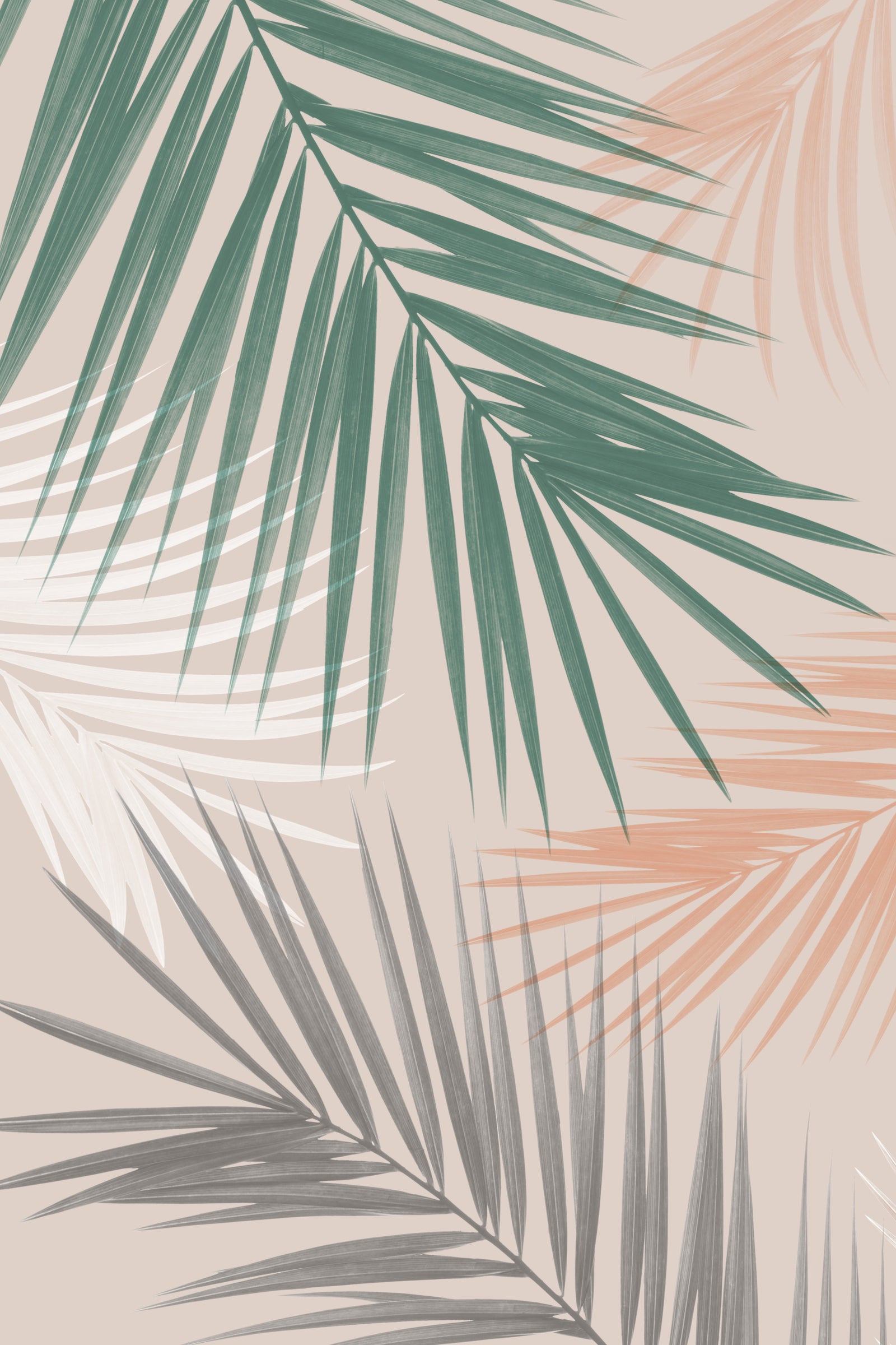 Palm Leaves Play Wall Mural in your room