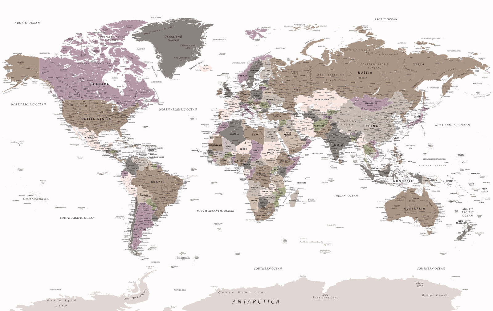 Detailed World Map Warm Neutrals Wall mural in your room