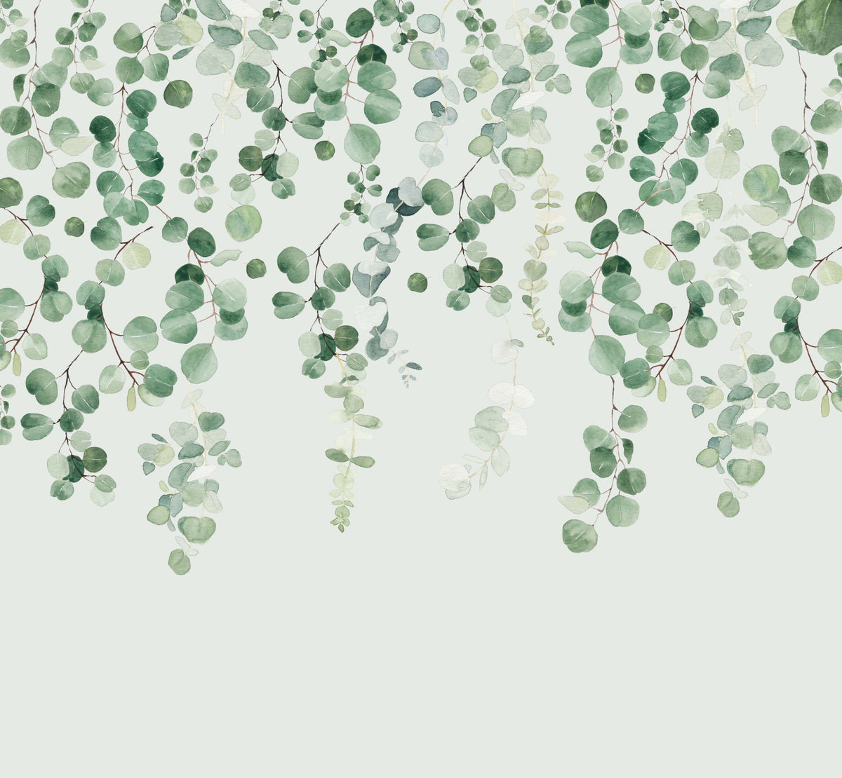 Eucalyptus Wall Mural in your room