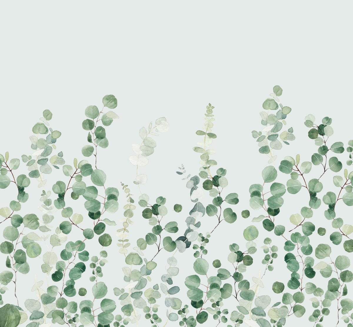 Eucalyptus Wall Mural in your room