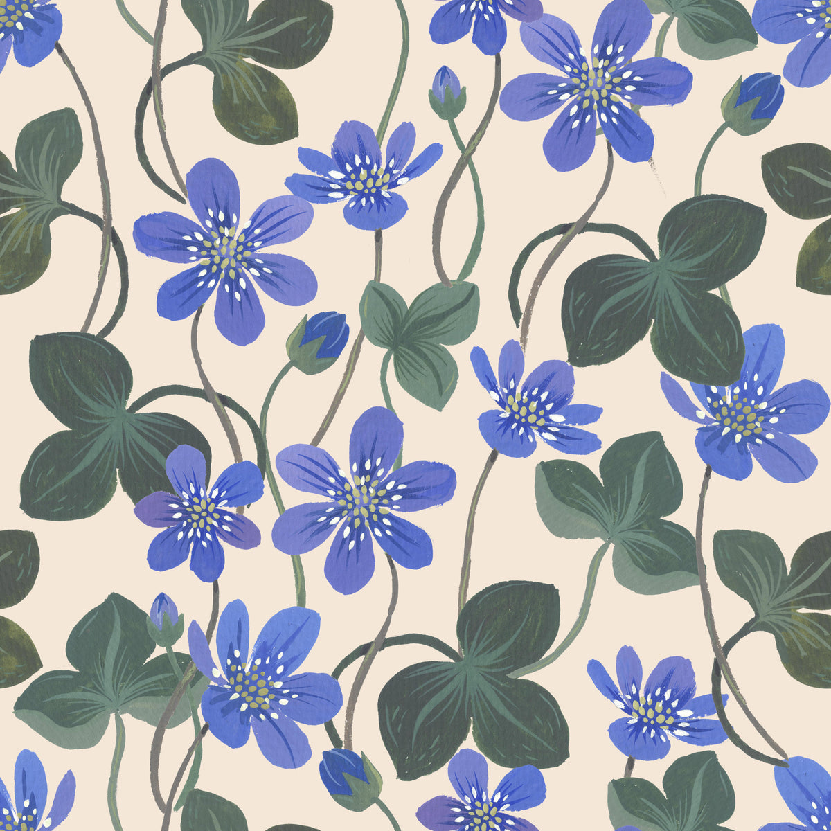 Blue Anemone Wallpaper⁠ in your room