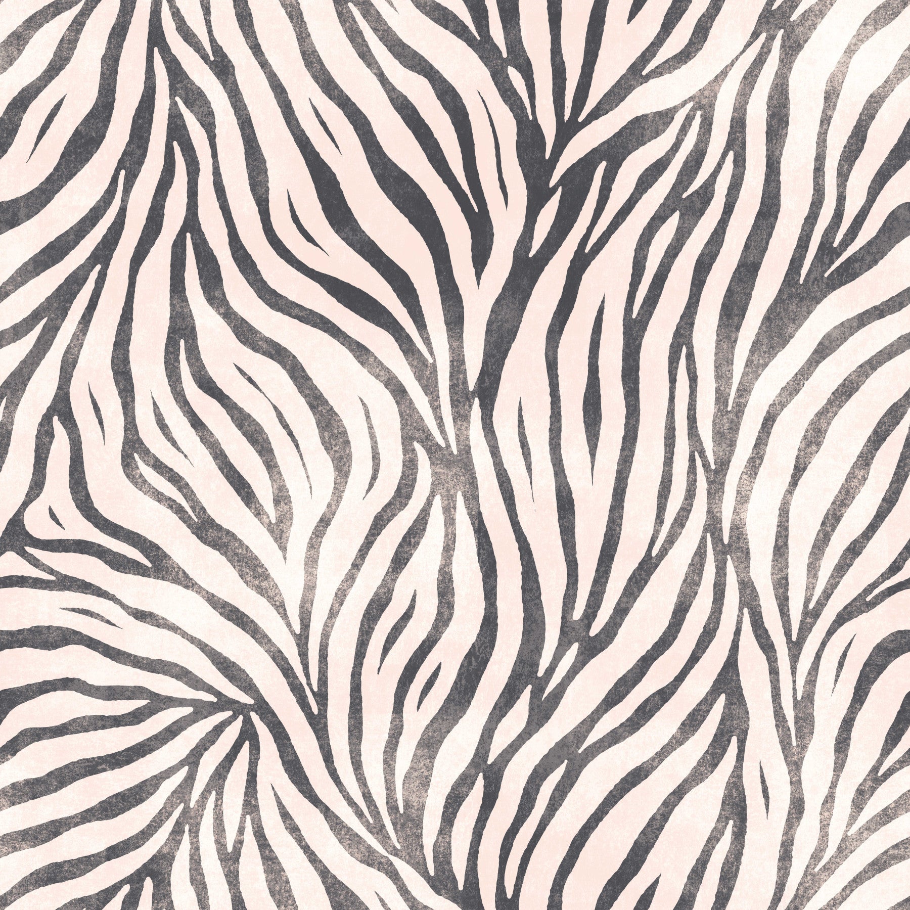 Black and White Boho Zebra Wallpaper⁠