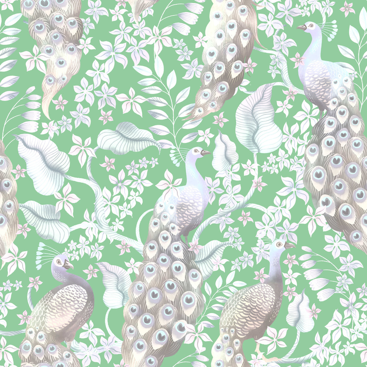 Green Peacock Paradise  Wallpaper⁠ in your room