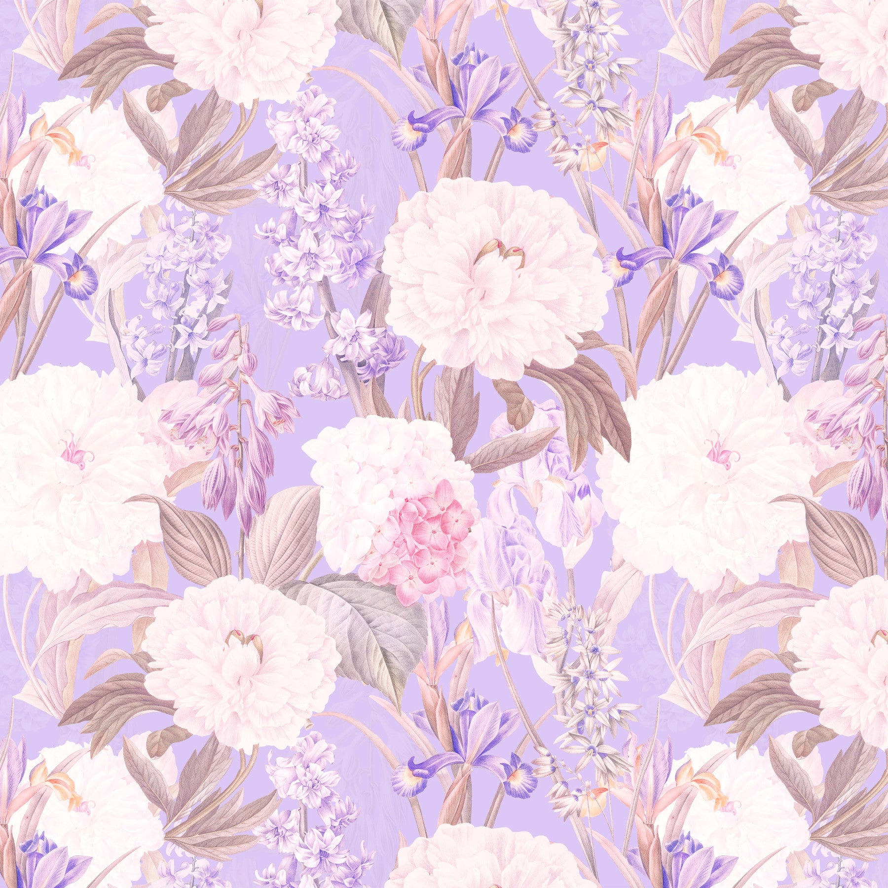 Ixia Paeonia Wall Mural