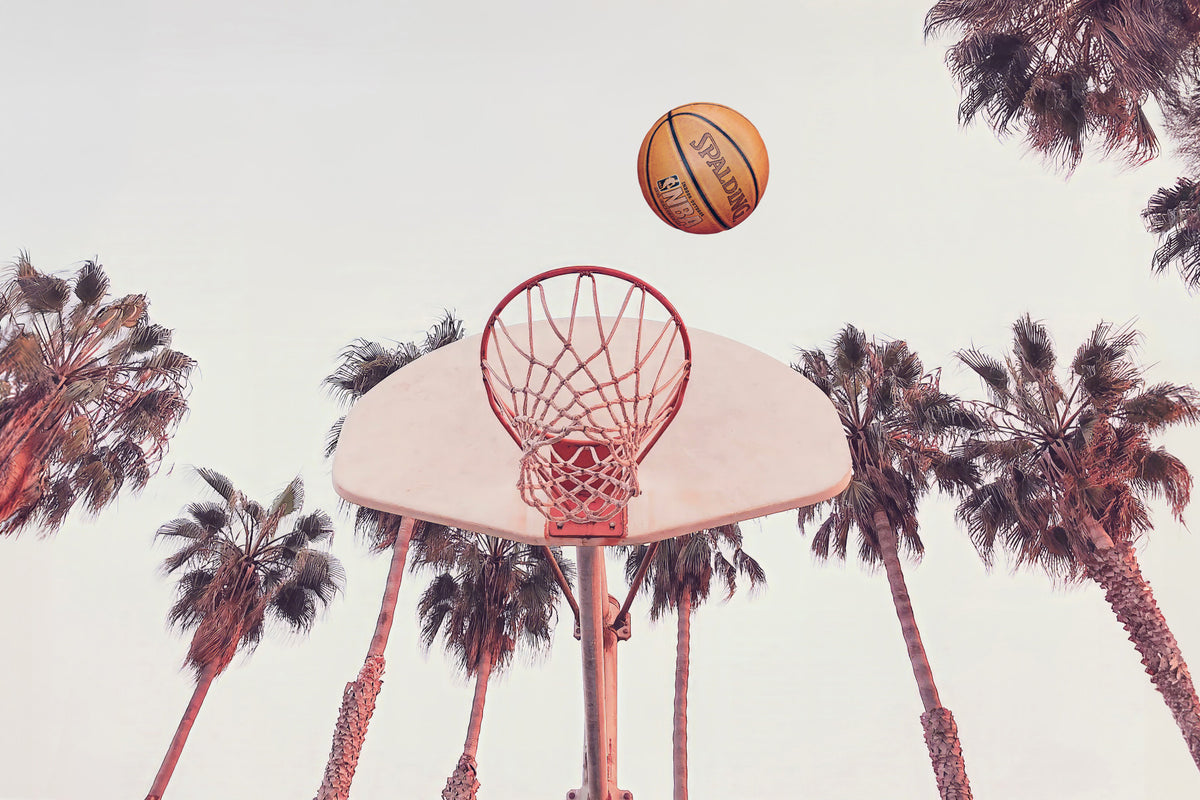 Basketball Wall Mural in your room — zoomed