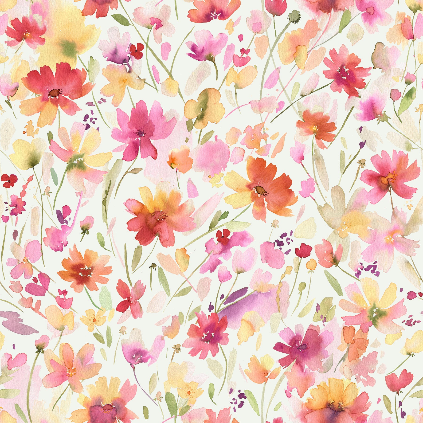 Cosmos Wildflowers Nature Summer Wallpaper⁠