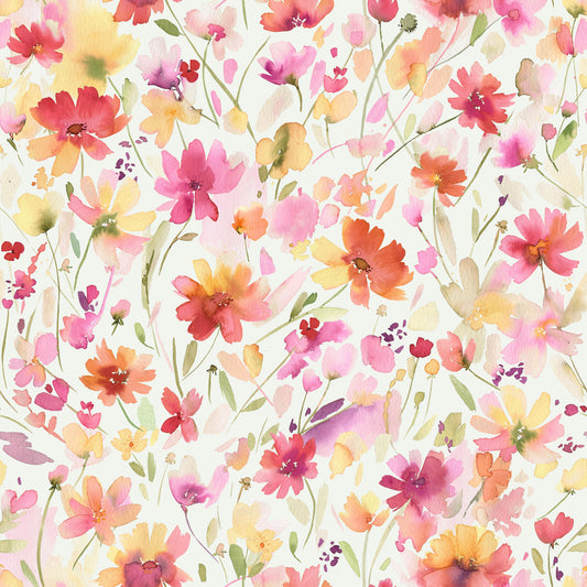 Cosmos Wildflowers Nature Summer Wallpaper⁠