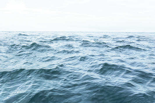 Ocean Serenity Wall Mural