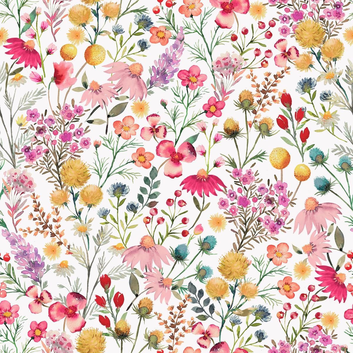 Delicate Botanical Dry Flowers Wallpaper⁠ in your room