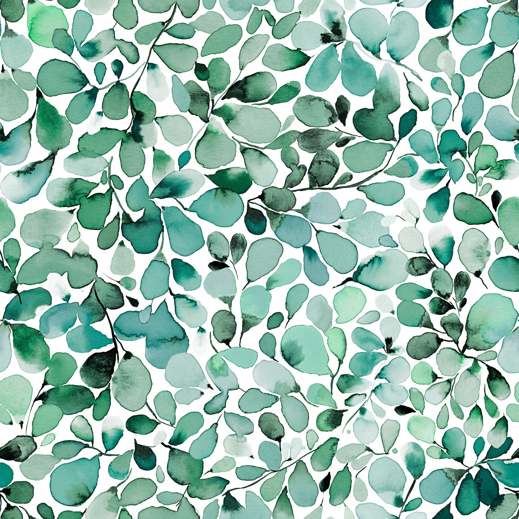 Eucalyptus Jungle Leaves Wallpaper⁠