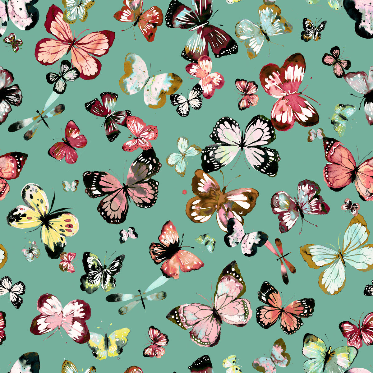 Flying Butterflies Colorful Teal Coral Wallpaper⁠ in your room — zoomed