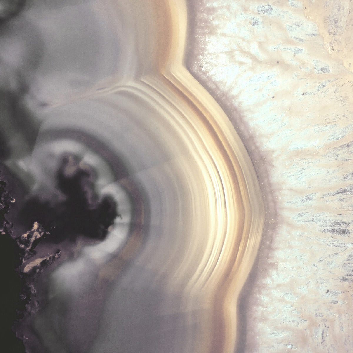 Taupe Agate Wall Mural