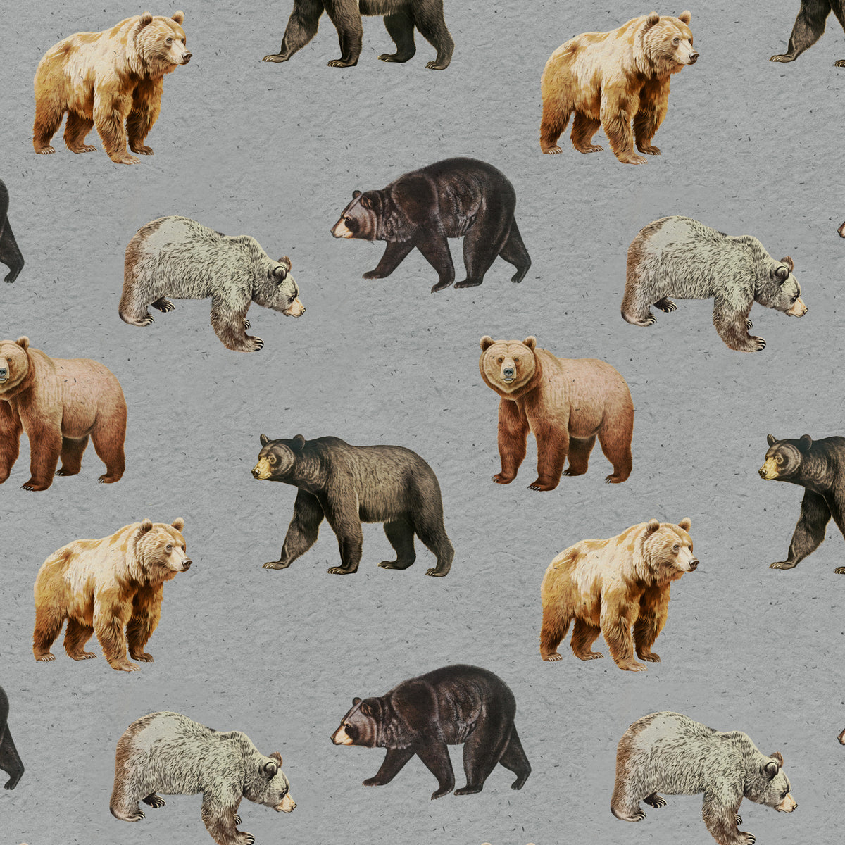 Forest Bears Wall Mural in your room