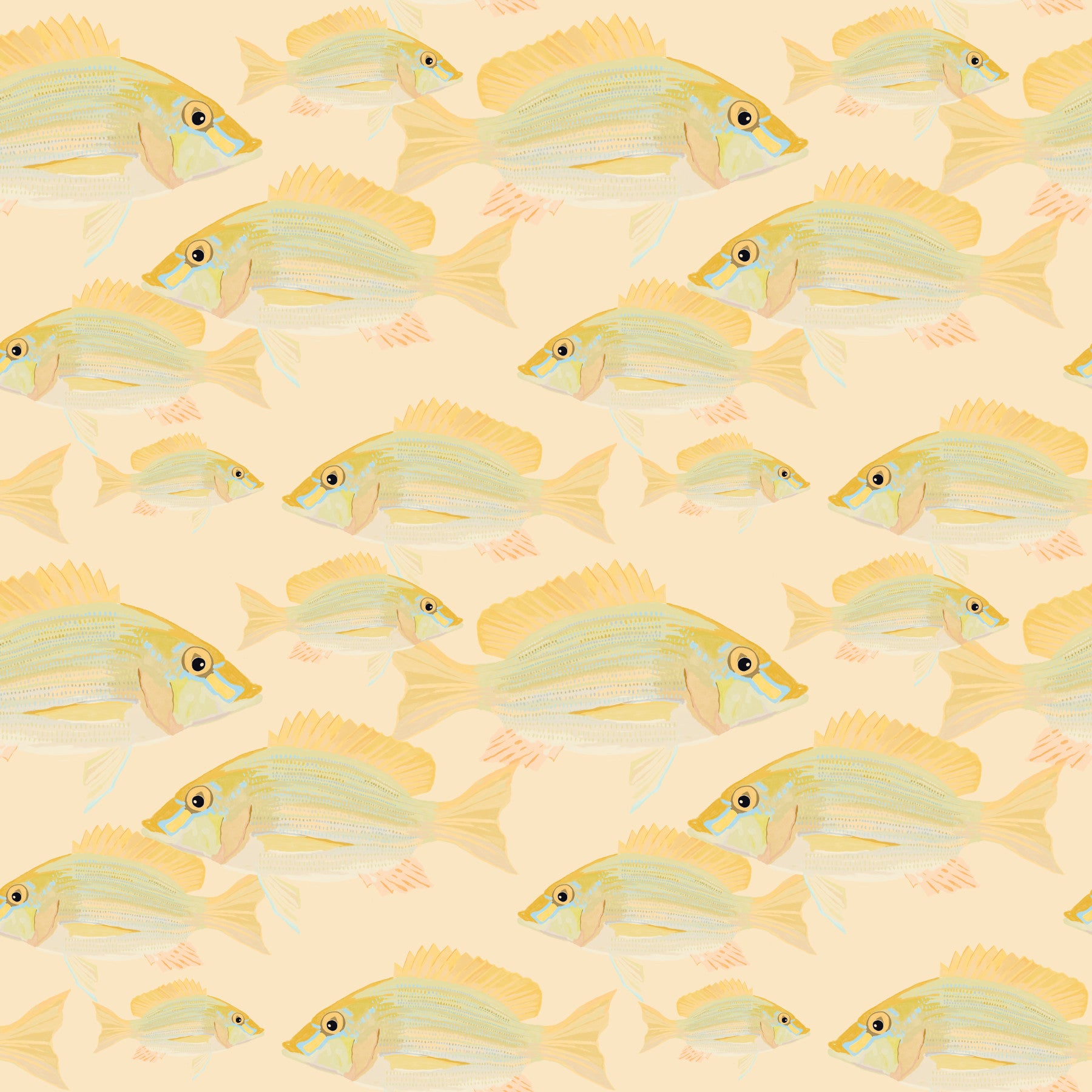 Sand Bream - The Fish Wall Mural