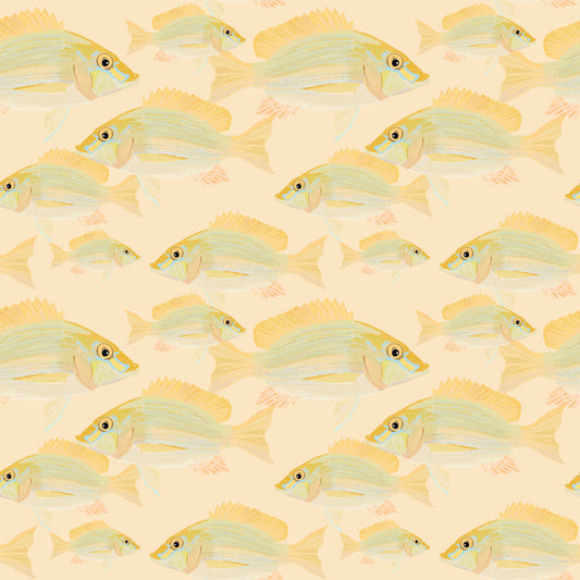 Sand Bream - The Fish Wall Mural