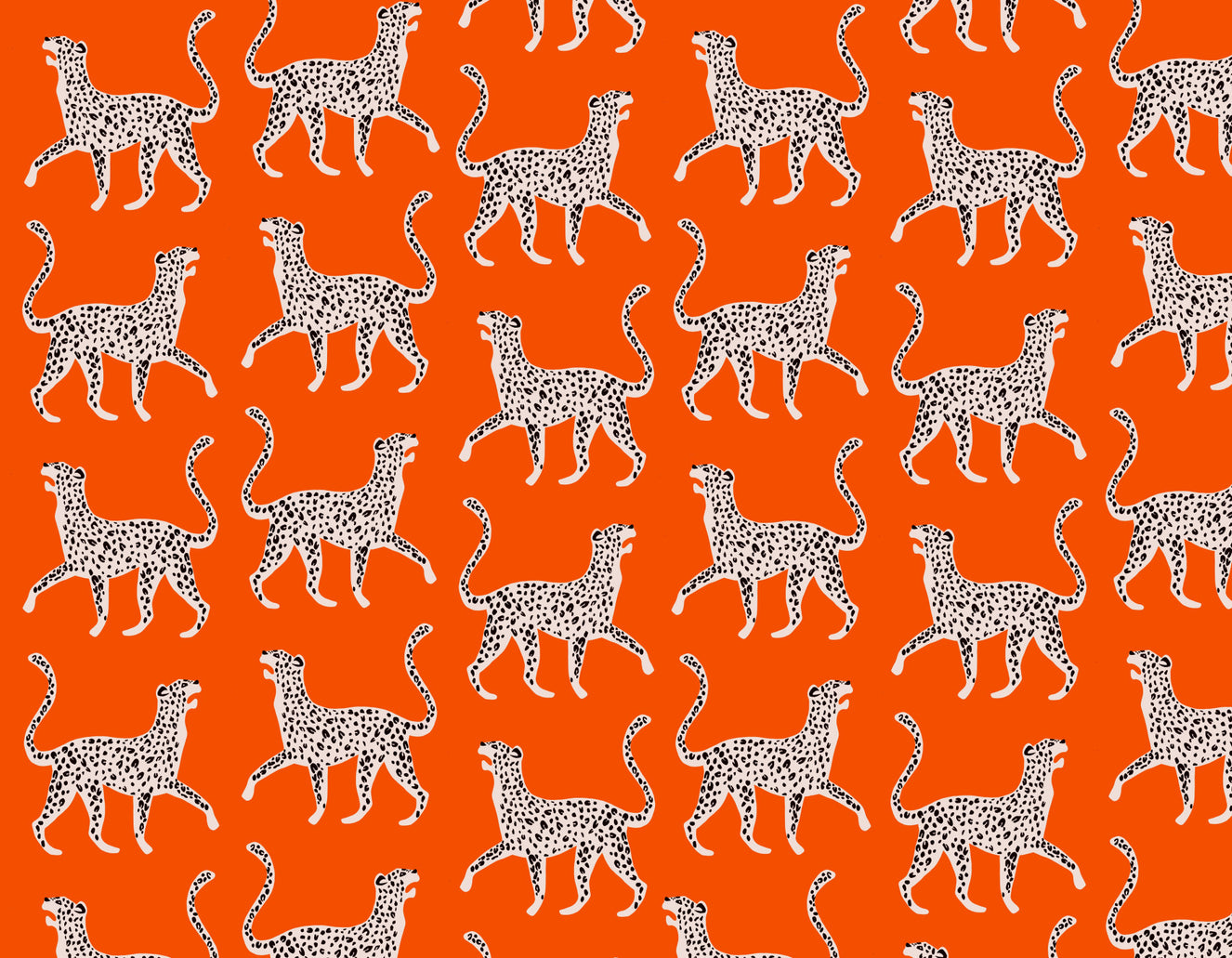 Cheetah Chich Wall Mural