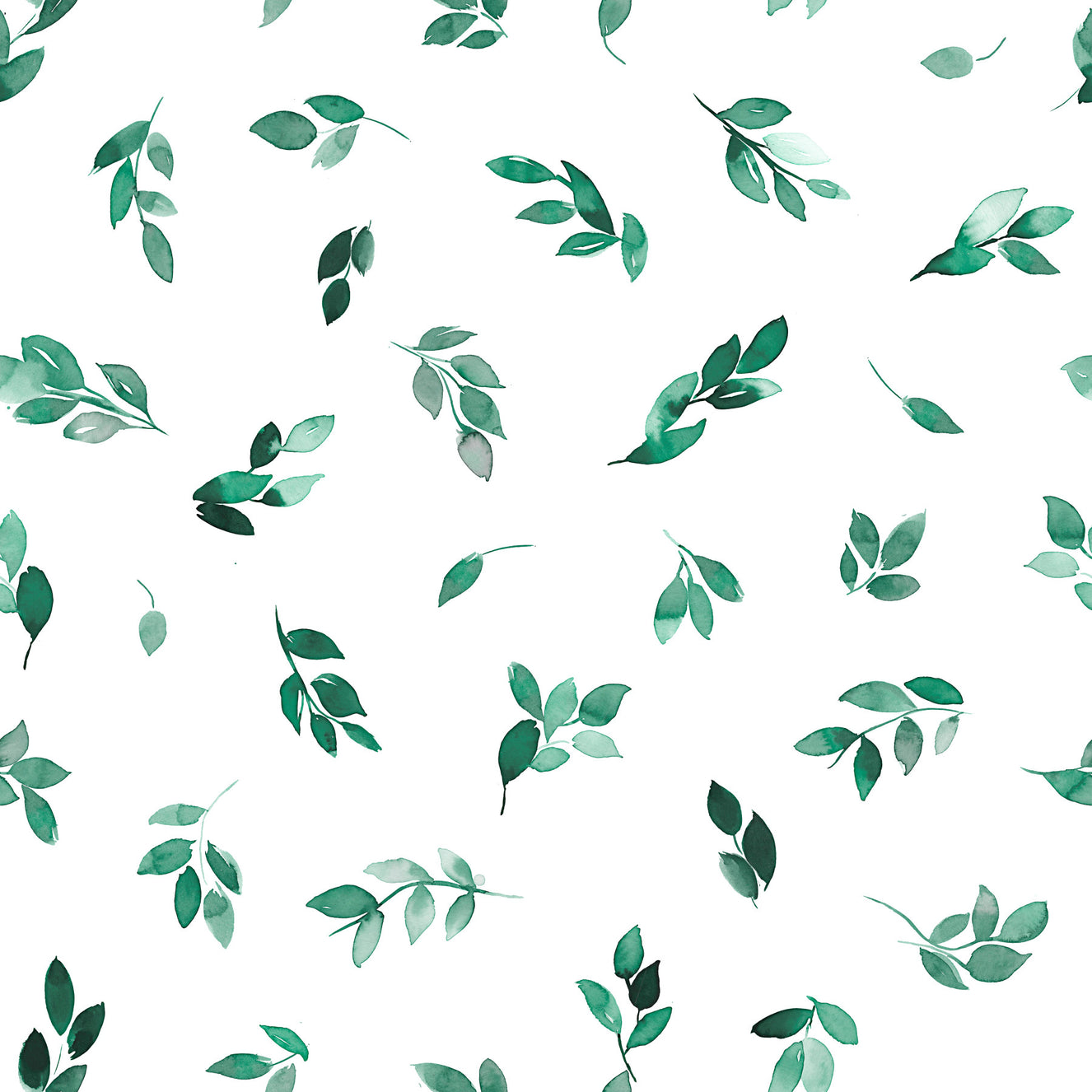 Minimal Leaf Green Eucalyptus Wallpaper⁠
