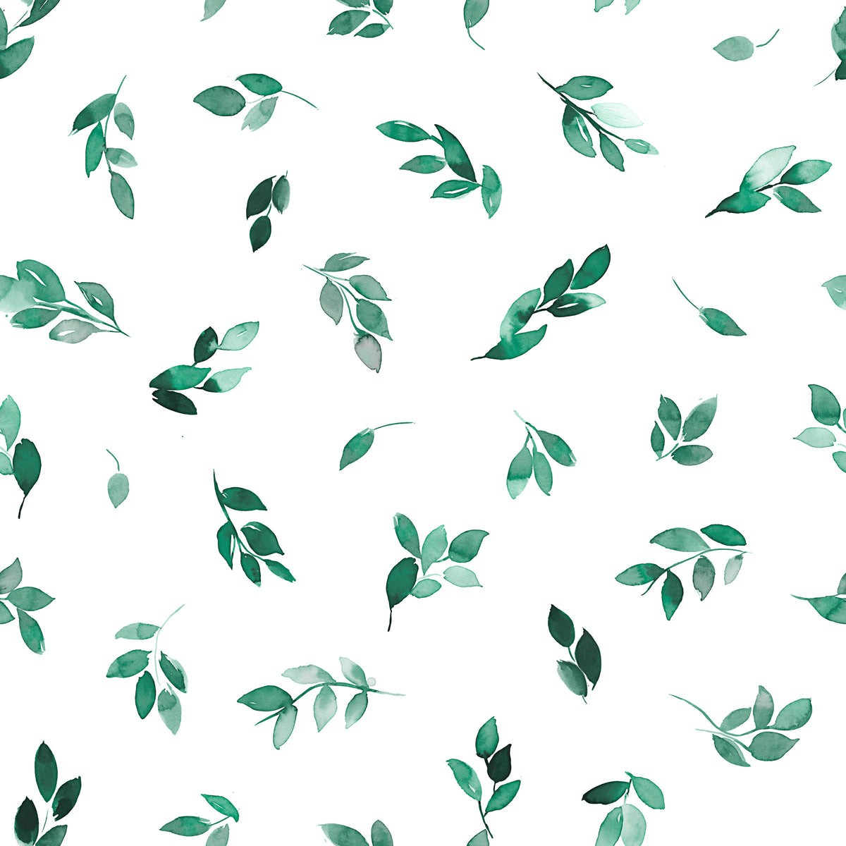 Minimal Leaf Green Eucalyptus Wallpaper⁠