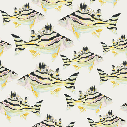 Jarbua - The Fish Wall Mural