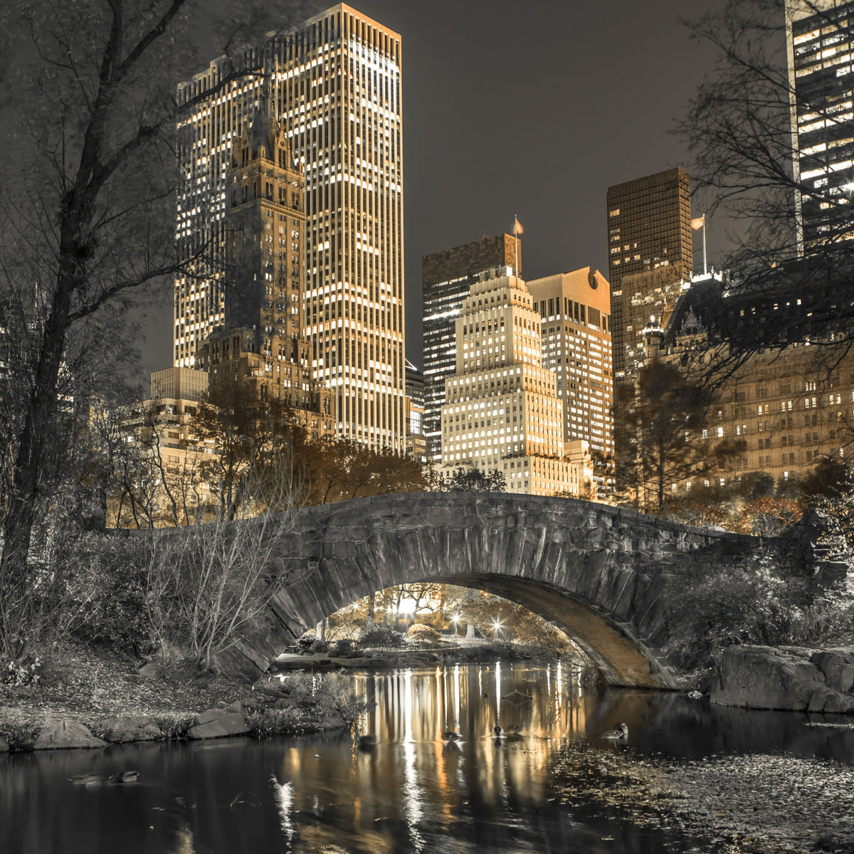 Evening in Central Park Wall Mural