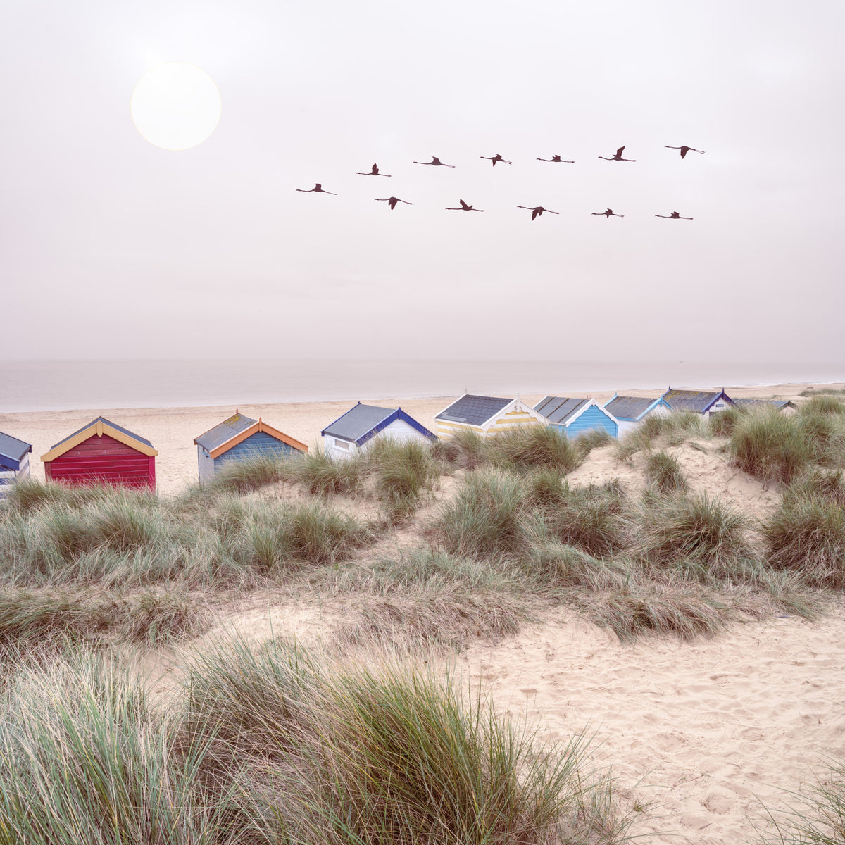 Sandy Shore Escape Wall Mural in your room