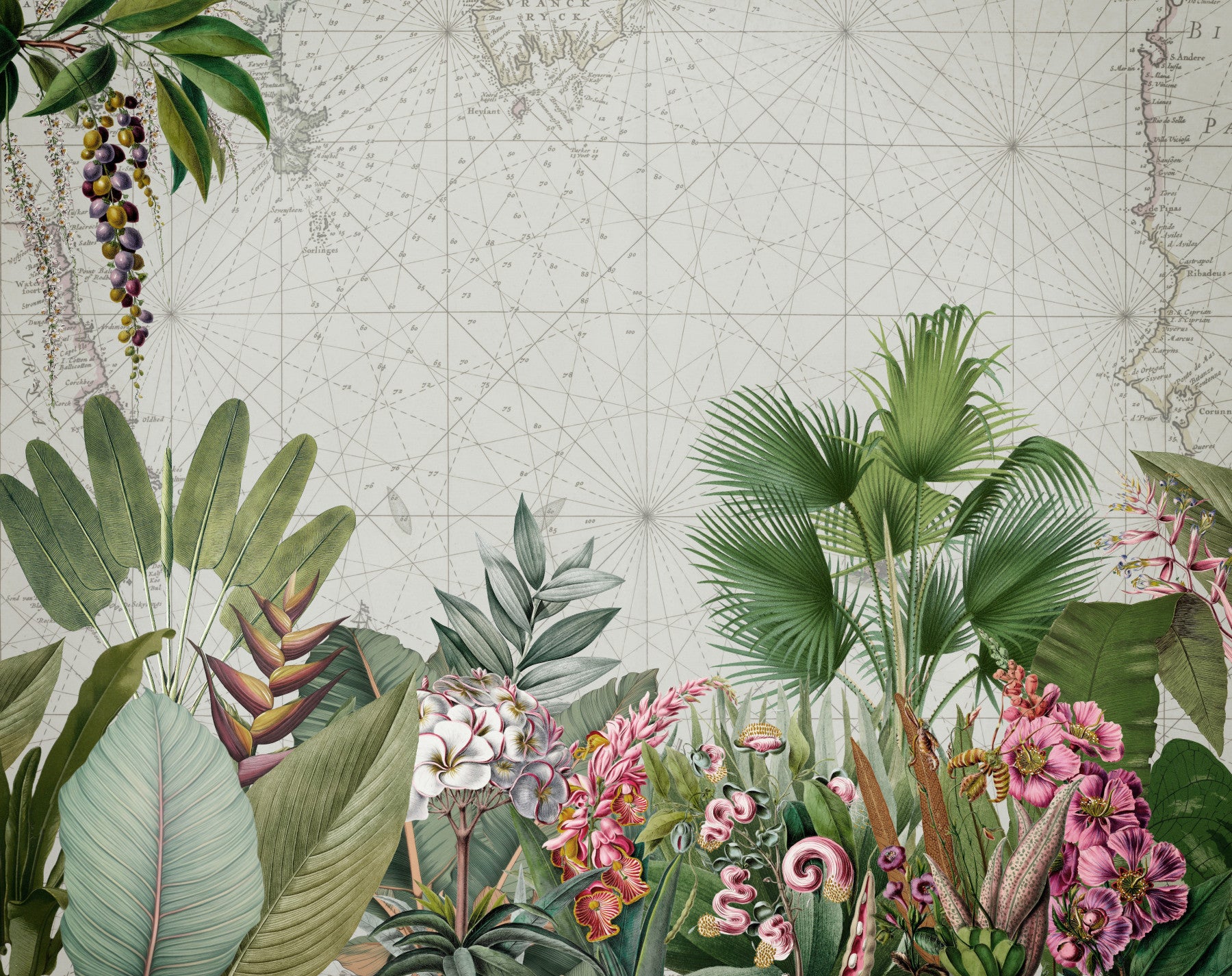 Vintage Botanical Voyage Wall Mural in your room — zoomed