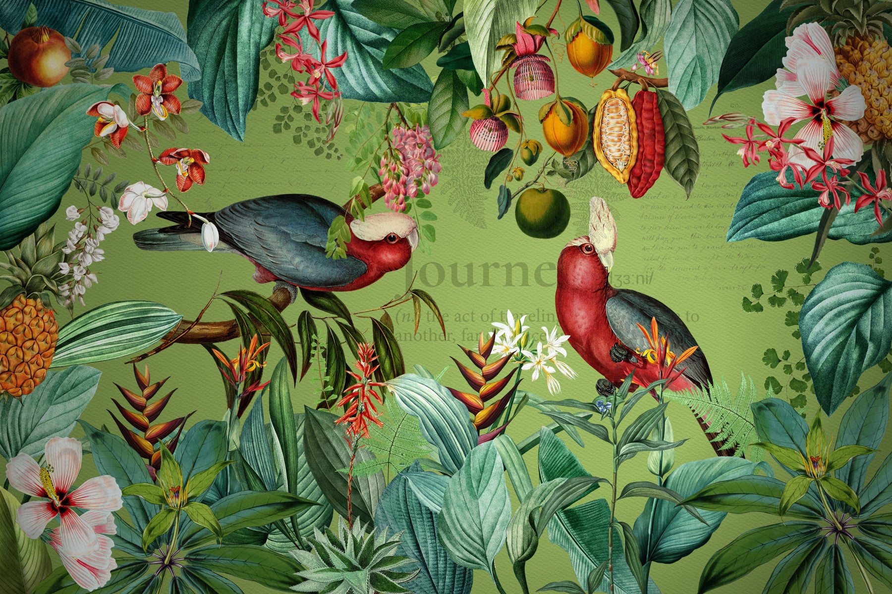 Tropical Vintage Wildlife Journey Wall Mural in your room — zoomed