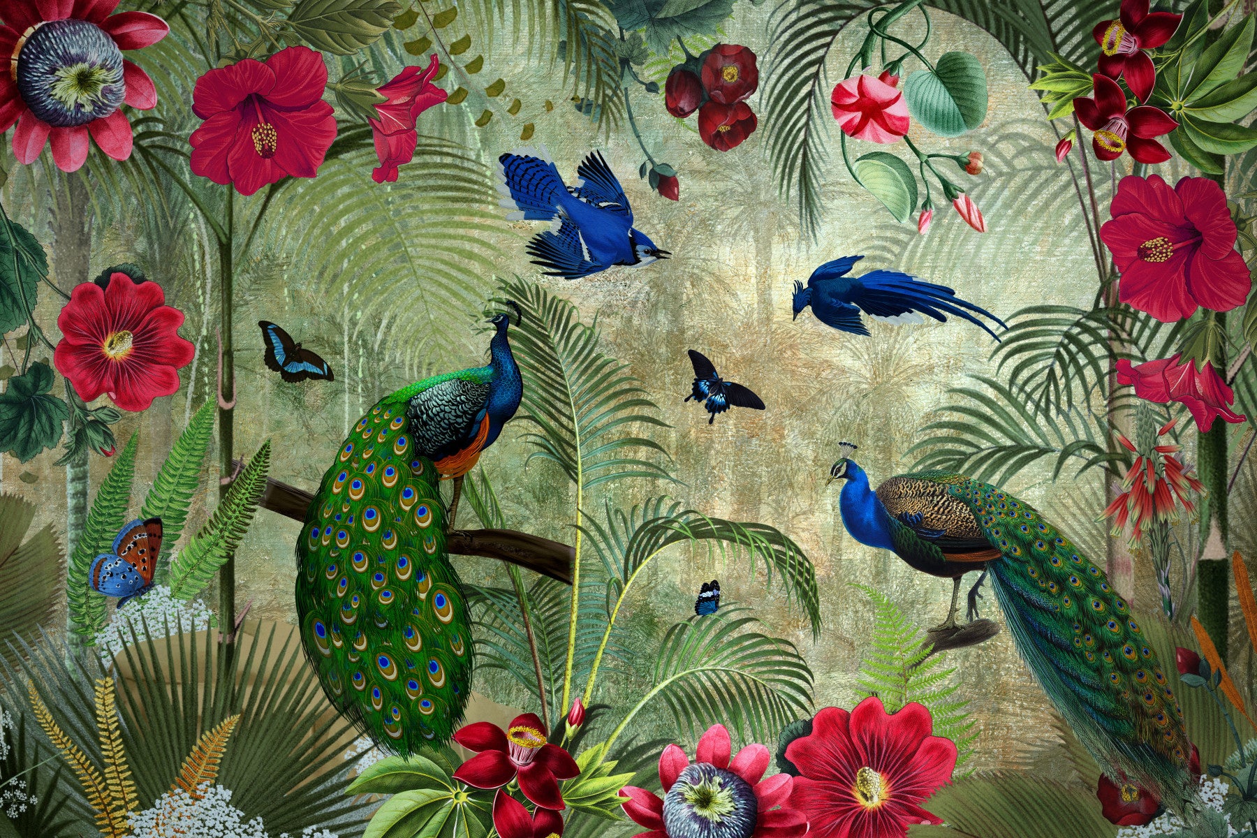 Tropical Vintage Peacock Paradise Wall Mural in your room — zoomed