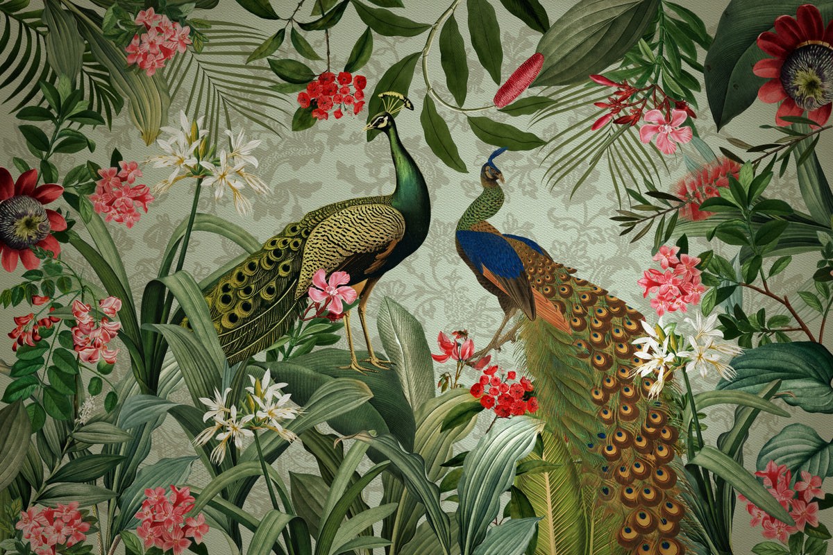 Botanical Peacock Mural Wall Mural in your room