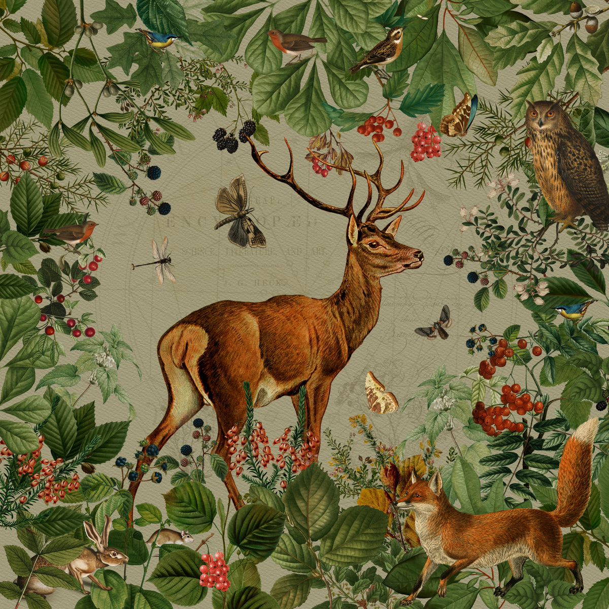Woodland Wonders Wall Mural in your room