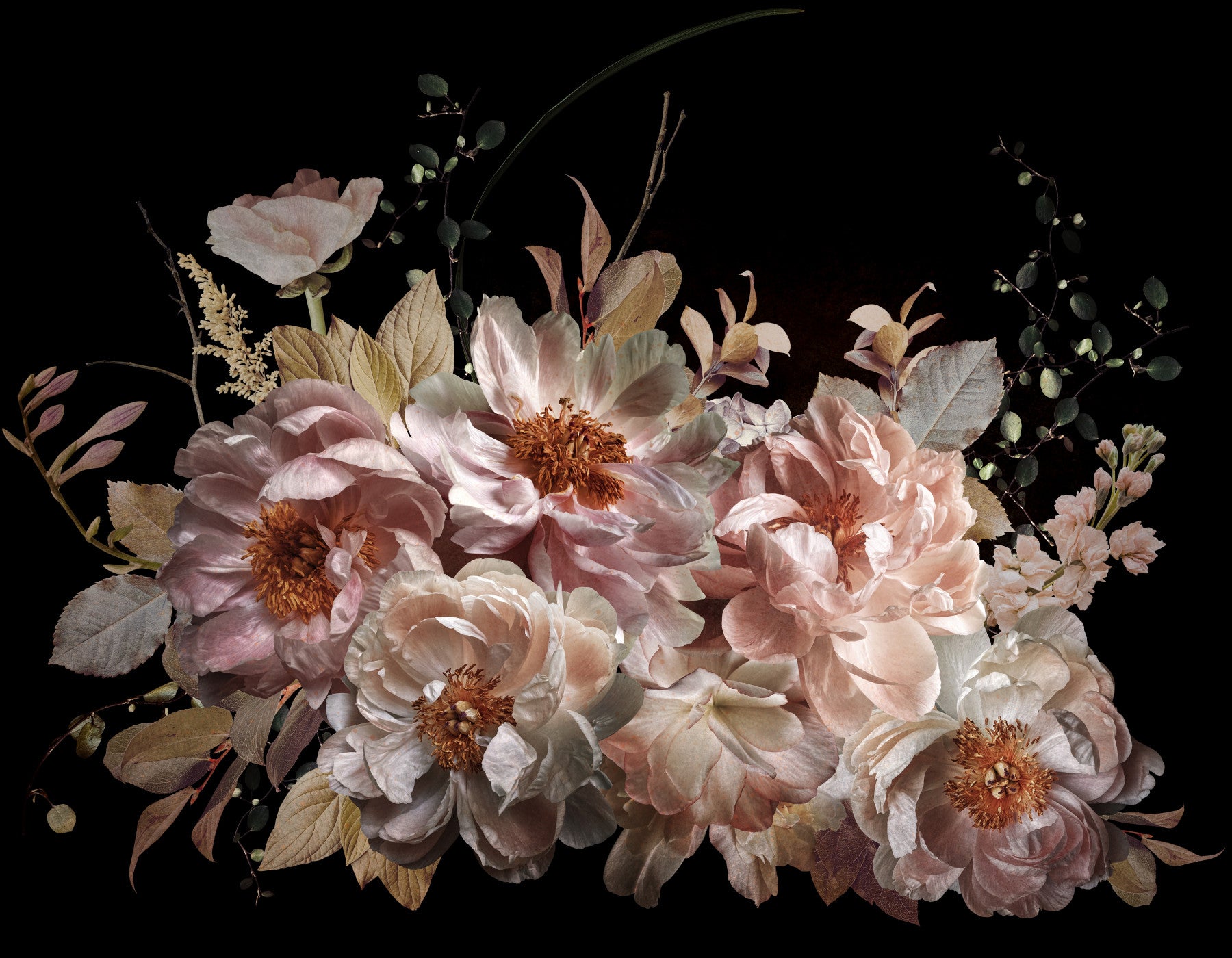 Midnight Garden Wall Mural
