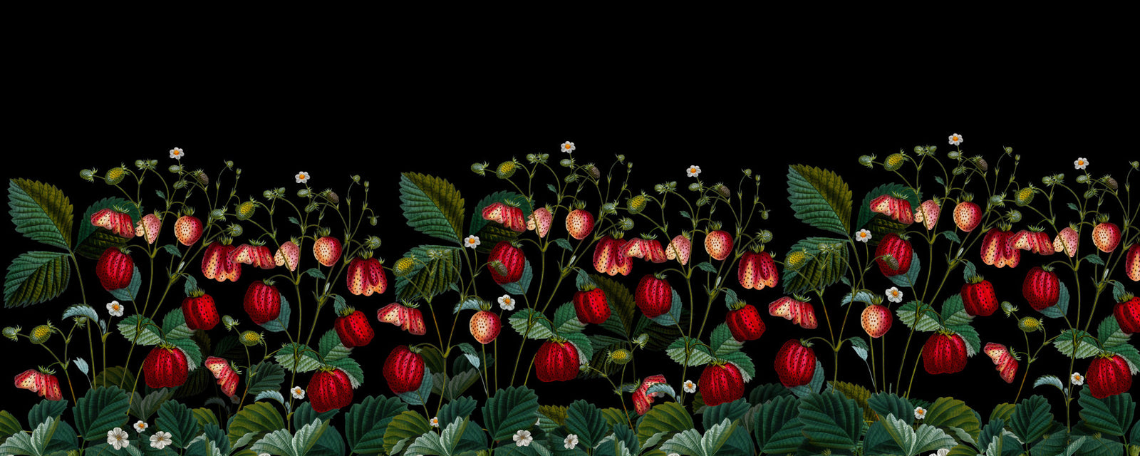 Midnight Strawberry Garden Wall Mural