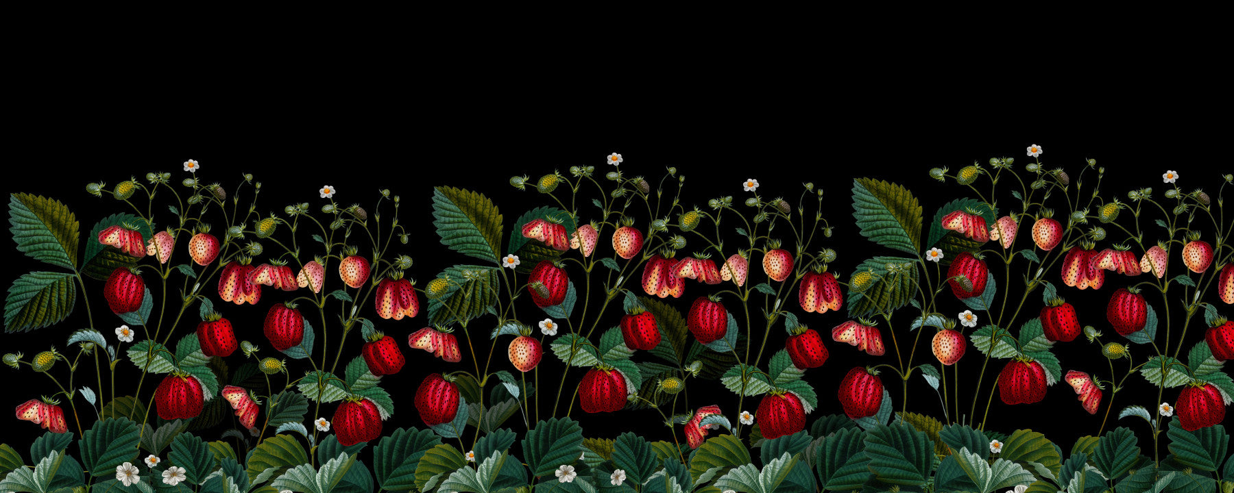 Midnight Strawberry Garden Wall Mural in your room — zoomed