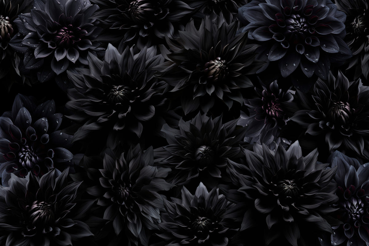 Midnight Bloom 1 Wall Mural in your room