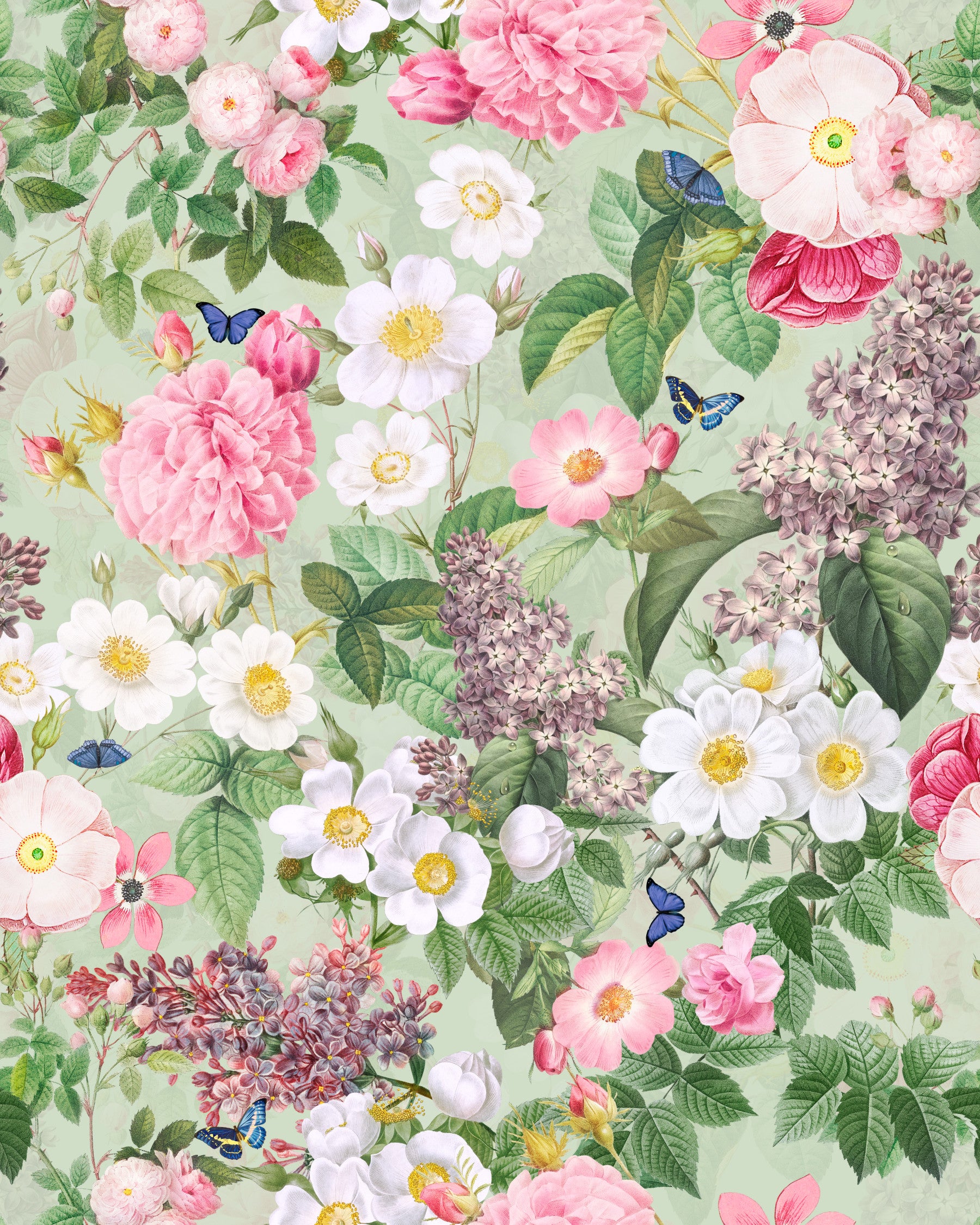 Serene Botanical Garden wallpaper

