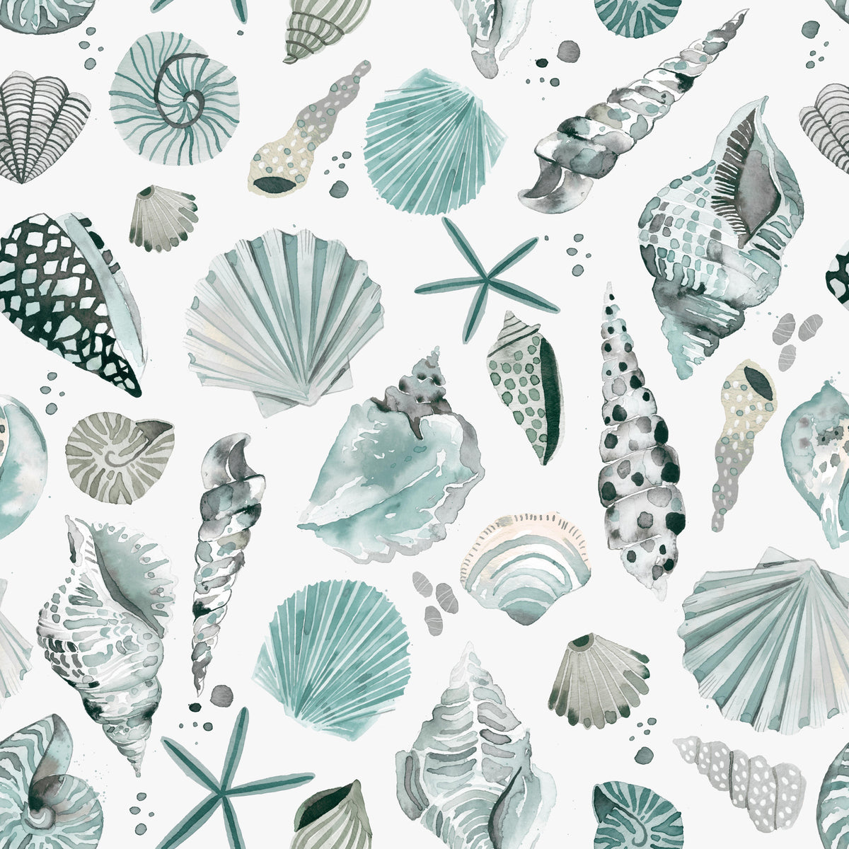 Sea Shells Marine Coastal Summer Blue Wallpaper⁠