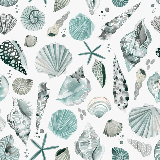 Sea Shells Marine Coastal Summer Blue Wallpaper⁠