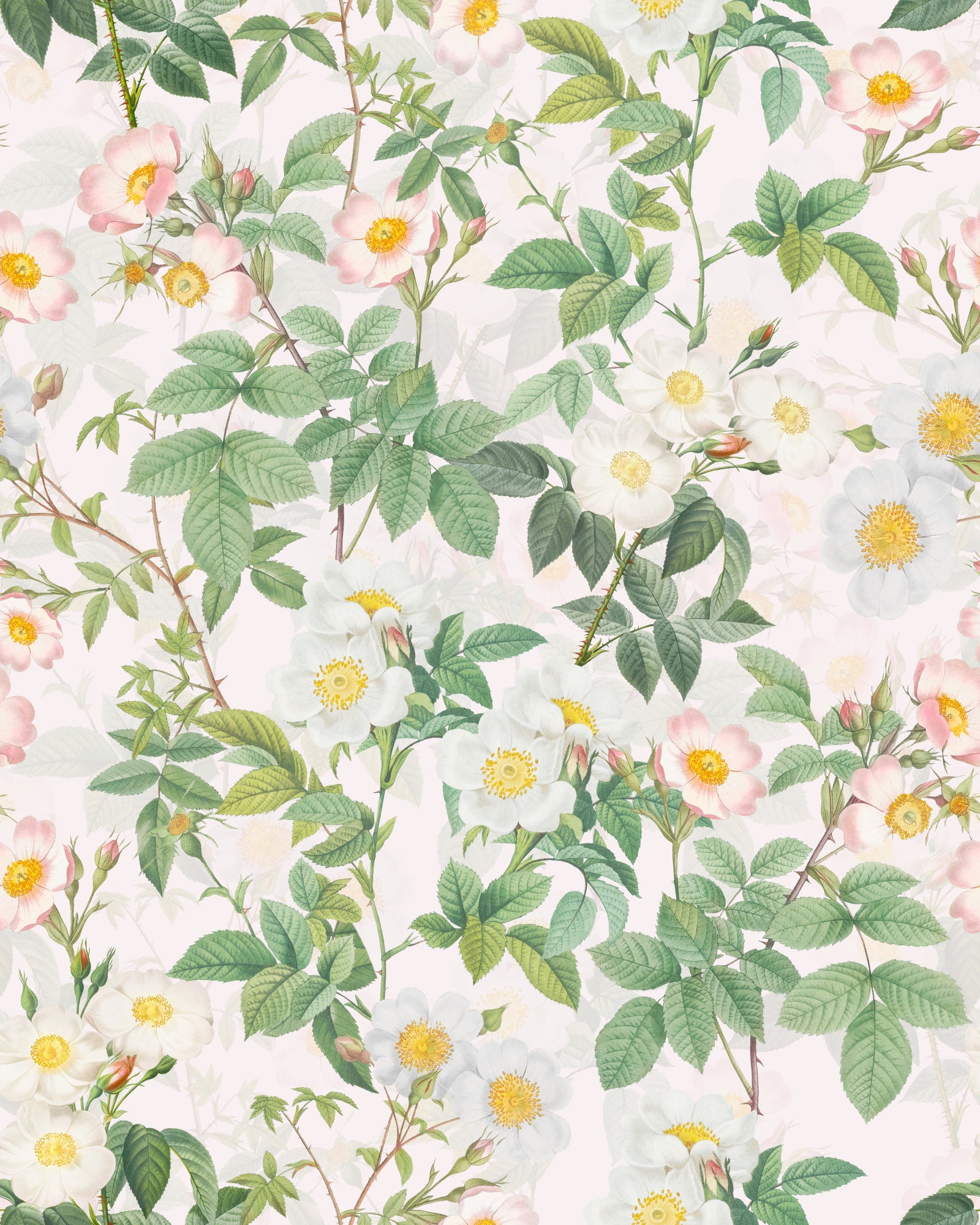 Rose Garden Reverie Wallpaper⁠