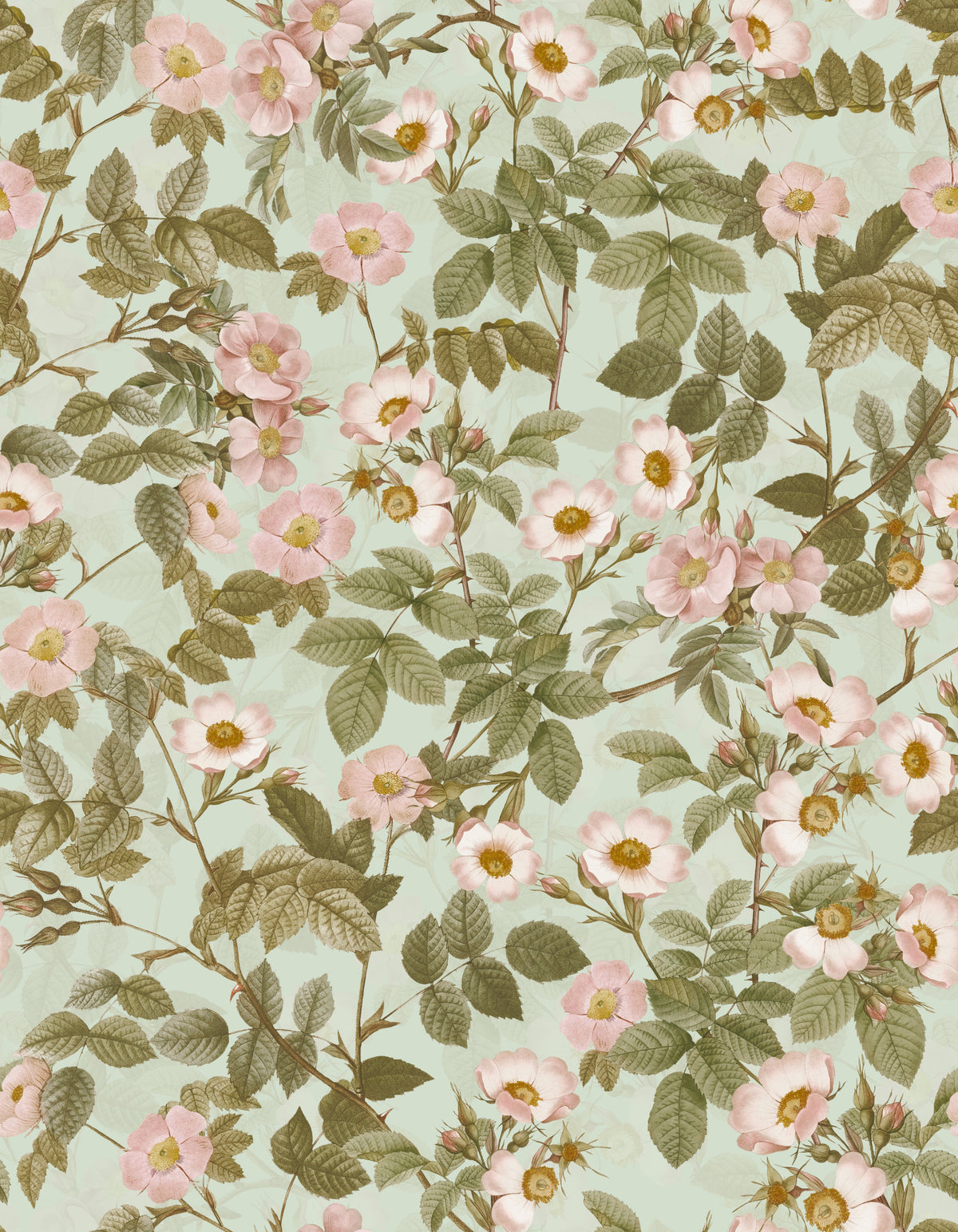 Vintage Rose Garden 1 Wallpaper⁠ in your room — zoomed
