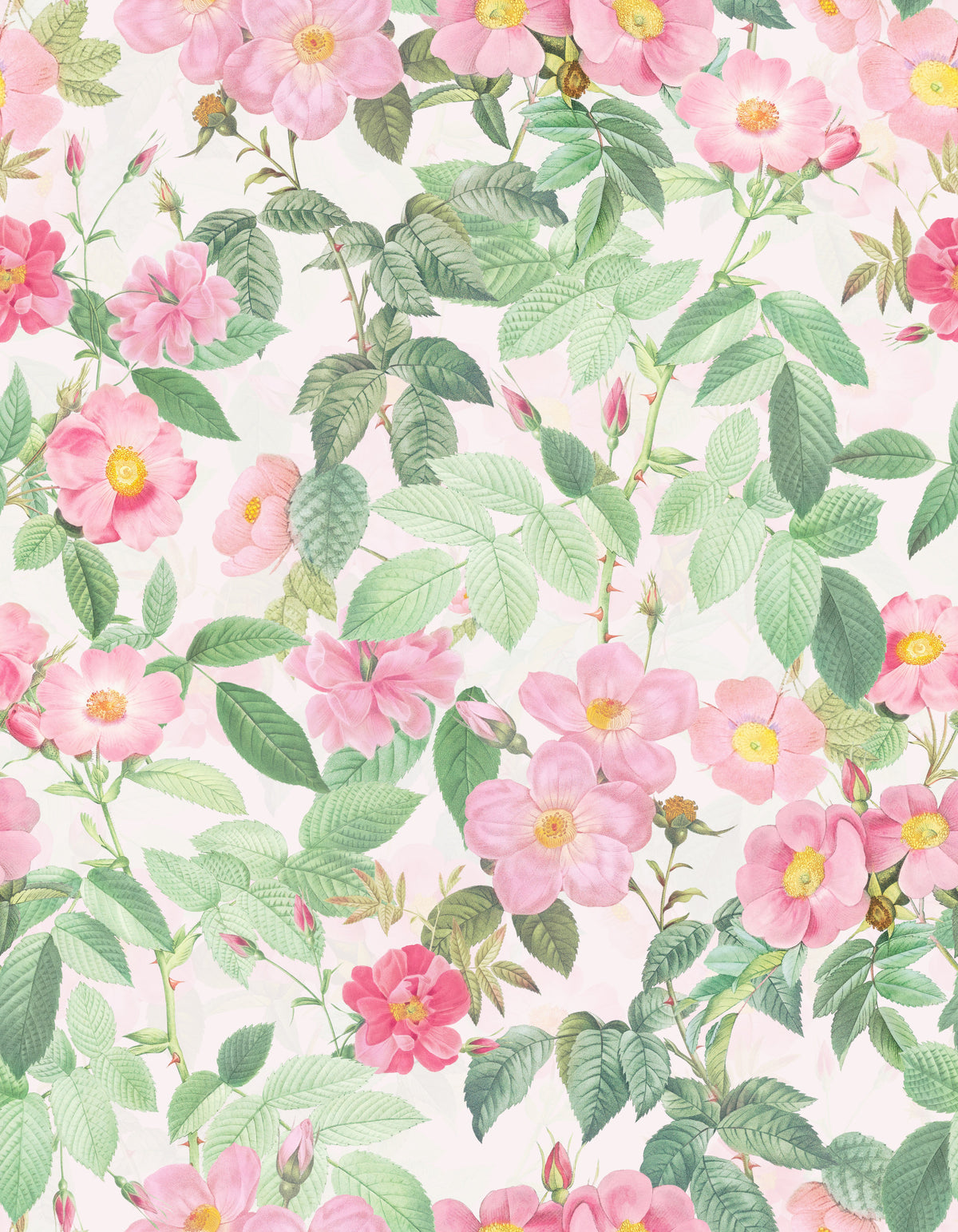 Blush Rose Garden Wallpaper⁠ in your room