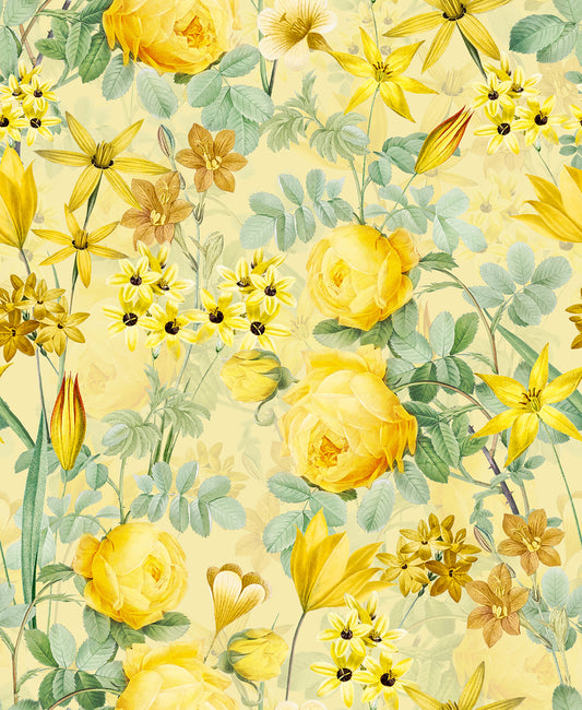 Golden Hour Rose Blooms Wallpaper⁠